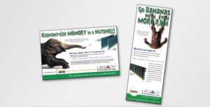 Legacy Electronics Advertisements