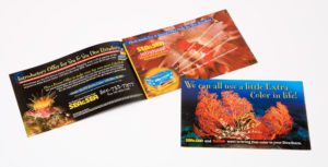 Sea and Sea & Kodak Brochure