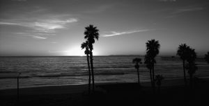 T Street Sunset Black and White