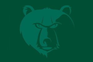 BCS Design Case Study LEAD IN