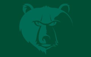 BCS Design Case Study BCS Design Case Study LEAD IN