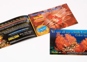 Sea and Sea & Kodak Brochure